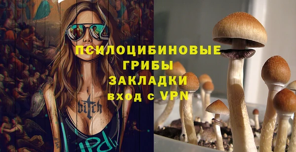 винт Куйбышев