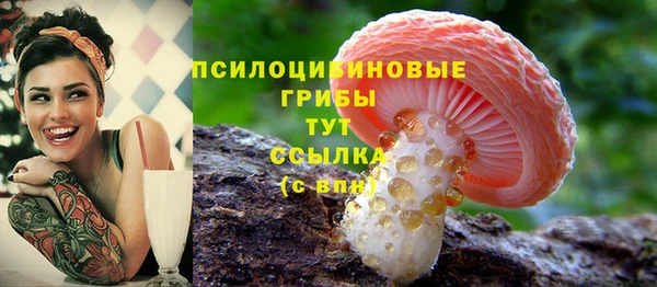 мет Кукмор